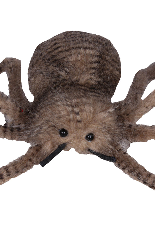 Giant Spider