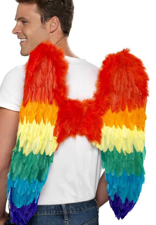 Regenboog Vleugels