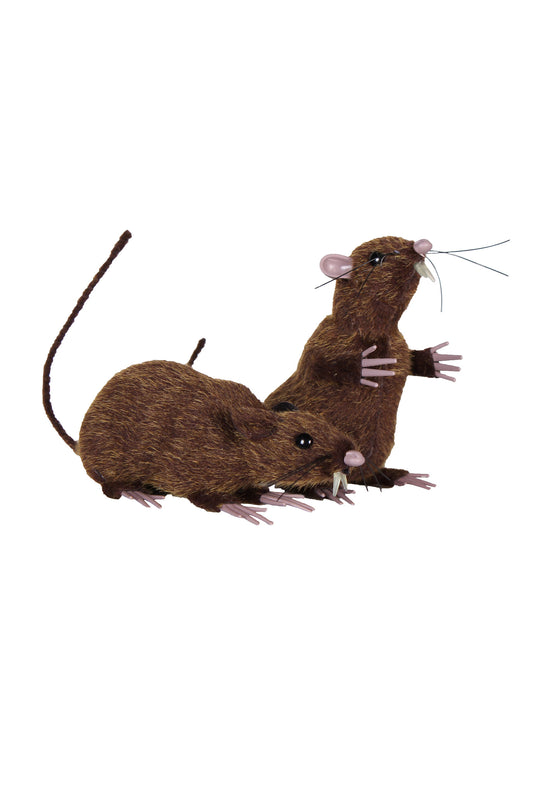Set bruine ratten 1 zit en 1 staat