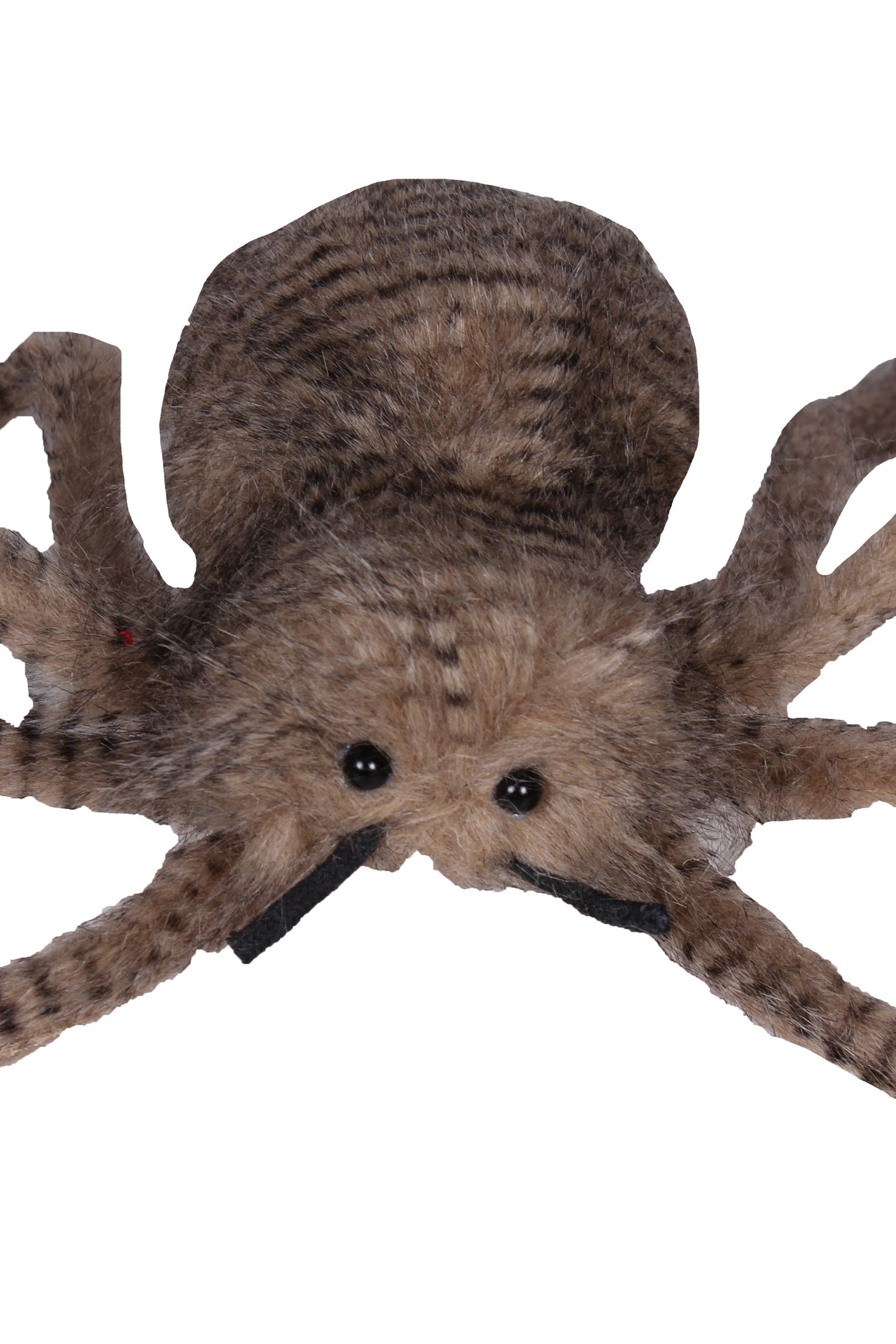 Giant Spider