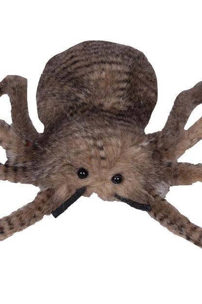 Giant Spider
