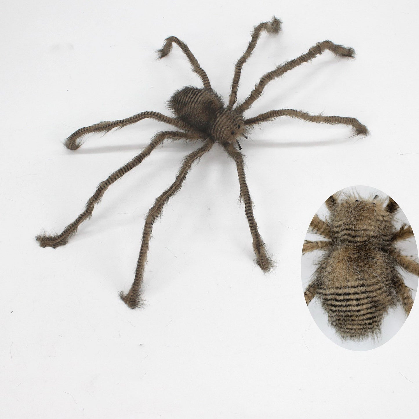 Giant Spider