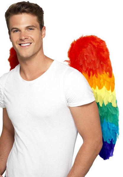Regenboog Vleugels