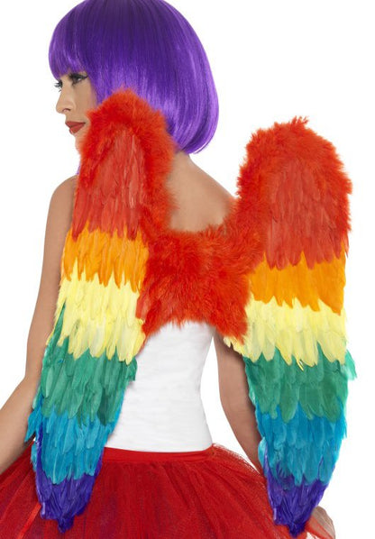 Regenboog Vleugels