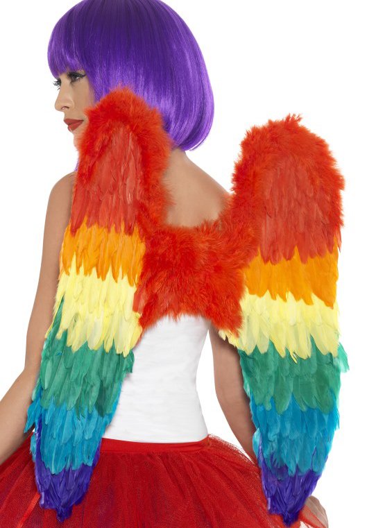 Regenboog Vleugels