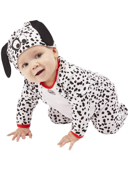 Dalmatian Baby