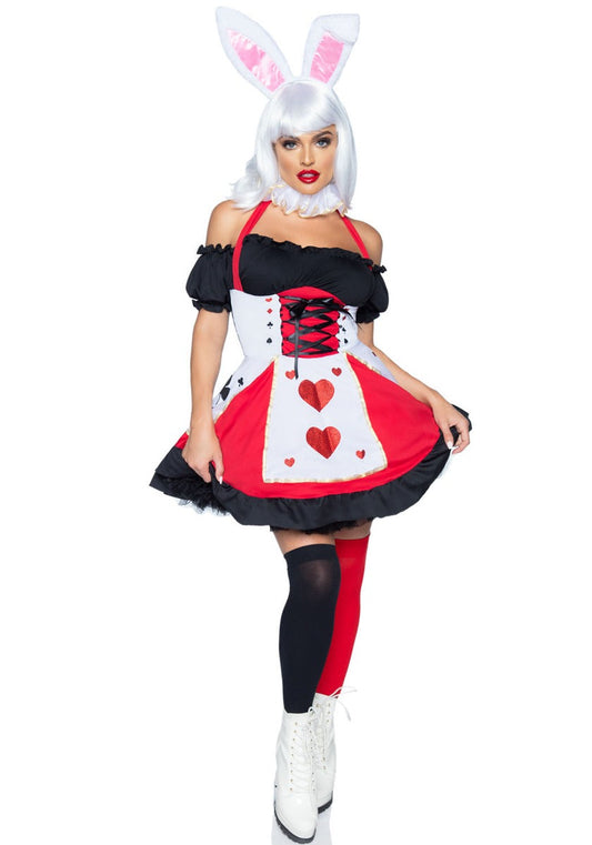 Alice in Wonderland Kostuum