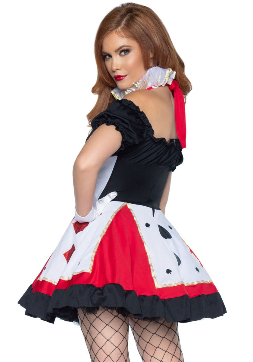 Alice in Wonderland Kostuum