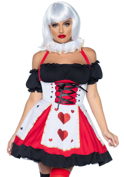 Alice in Wonderland Kostuum
