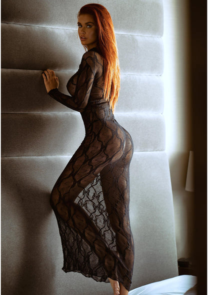 Long Sleeved Long Dress