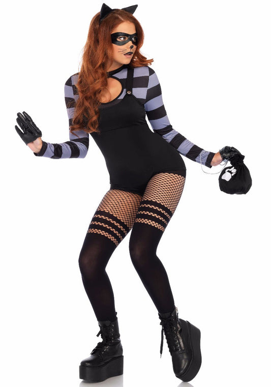 Cat Burglar