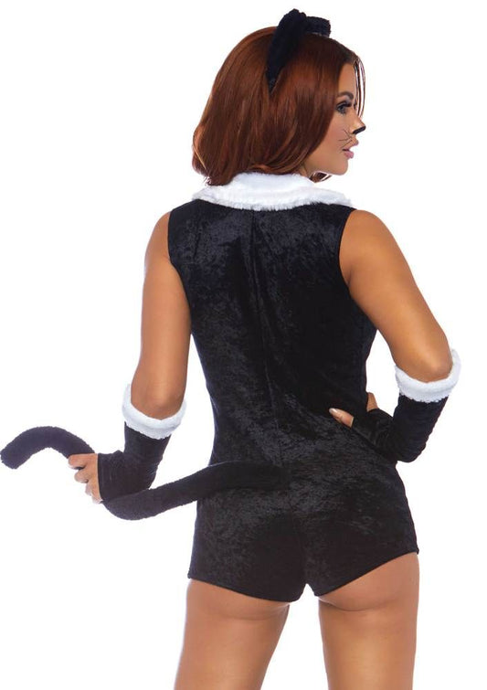 Carnaval Poes