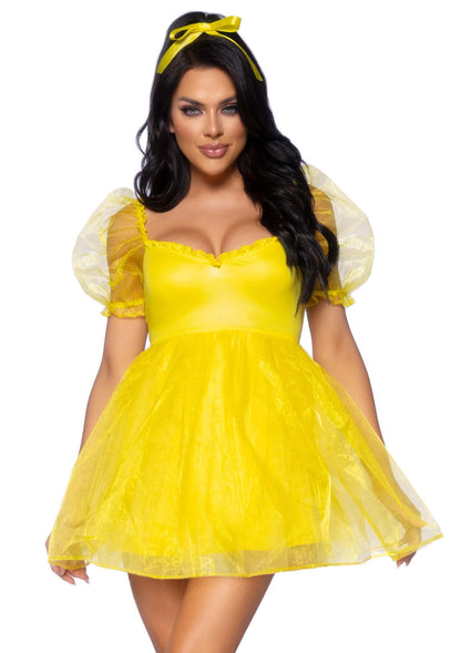Frosted Organza Dress