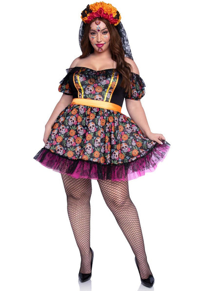 Plus Marigold Catrina Dress