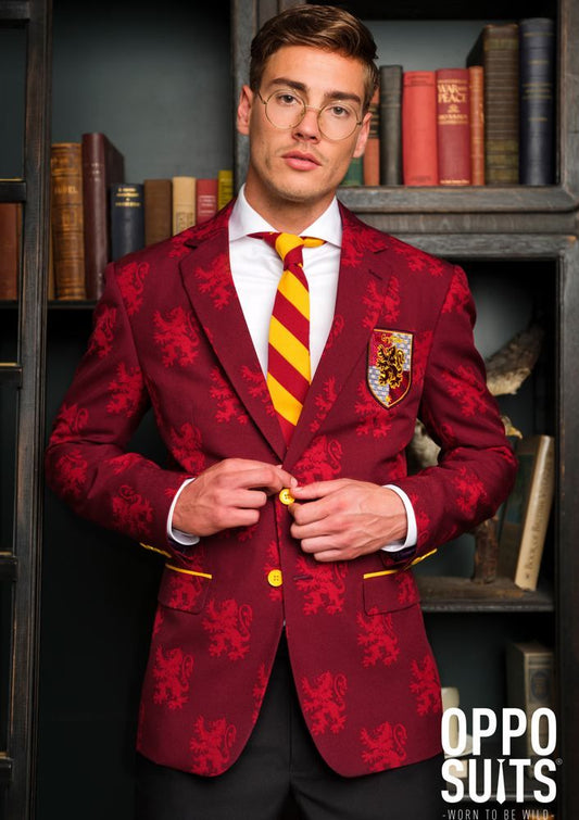 Harry Potter Kostuum