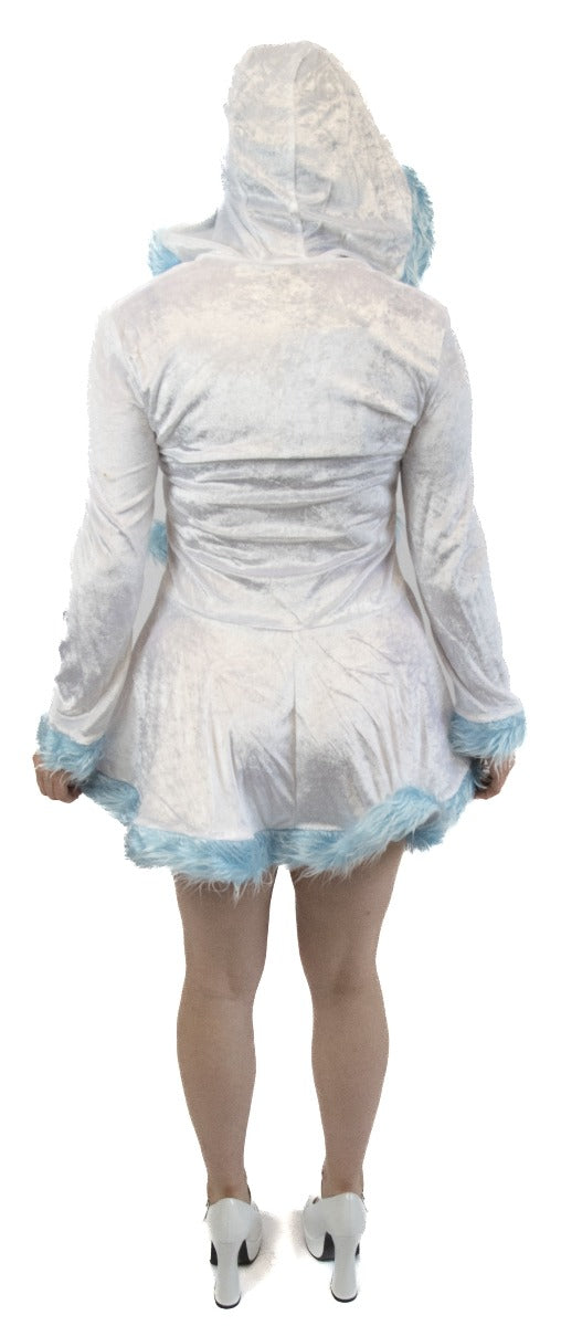 Winterprinses