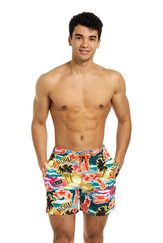 Aloha Hero