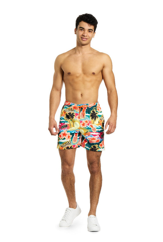 Aloha Hero