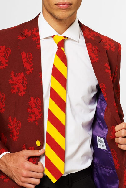 Harry Potter Kostuum