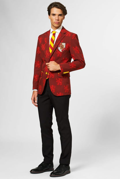 Harry Potter Kostuum