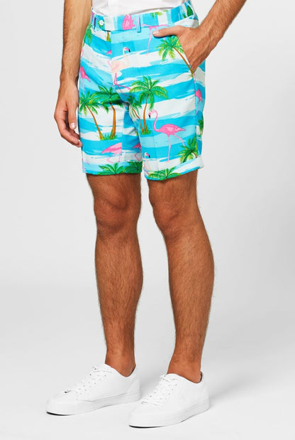 Flamingo Summer