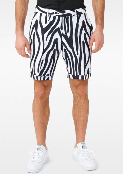Zebra Pak Festival