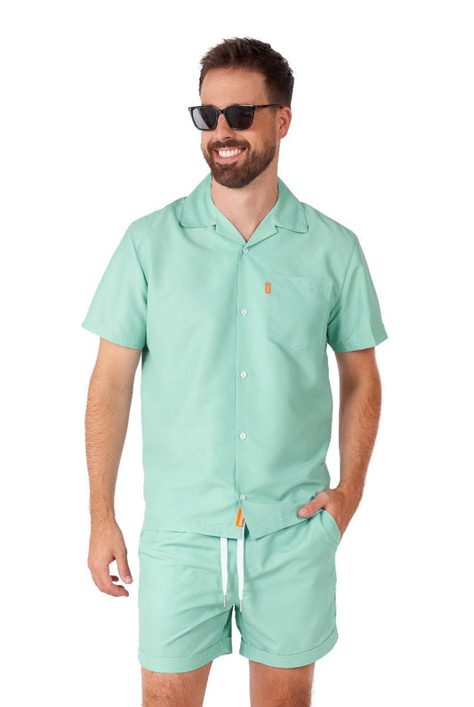 Magic Mint Zomerset