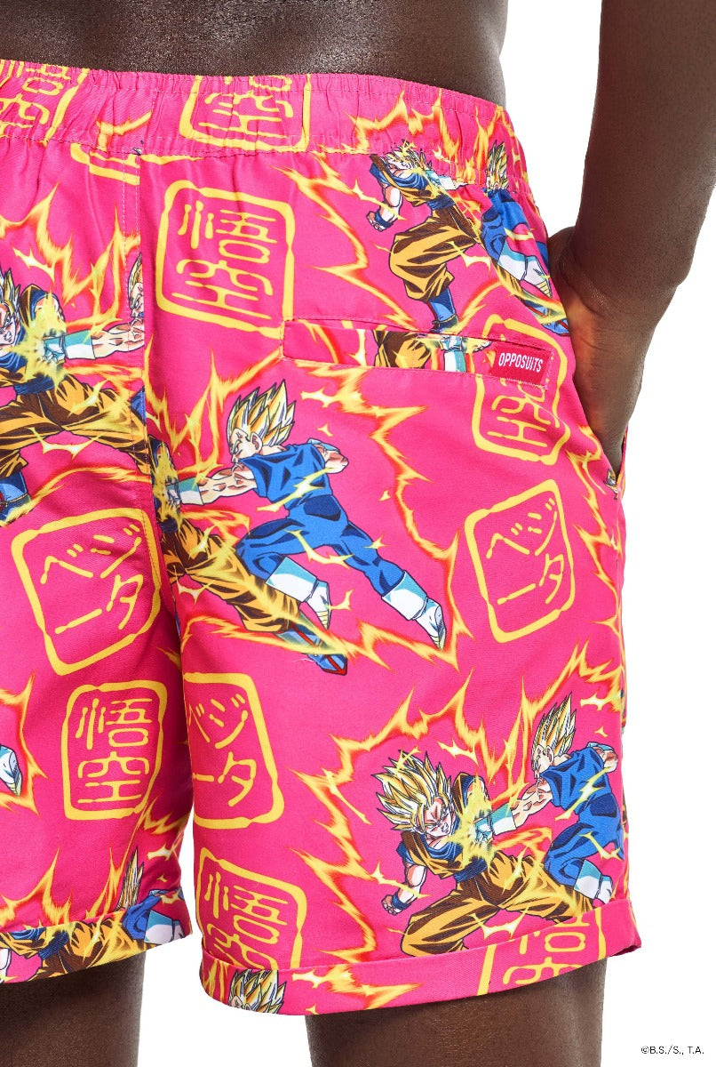 Dragon Ball Z Goku vs Vegeta Zomerset